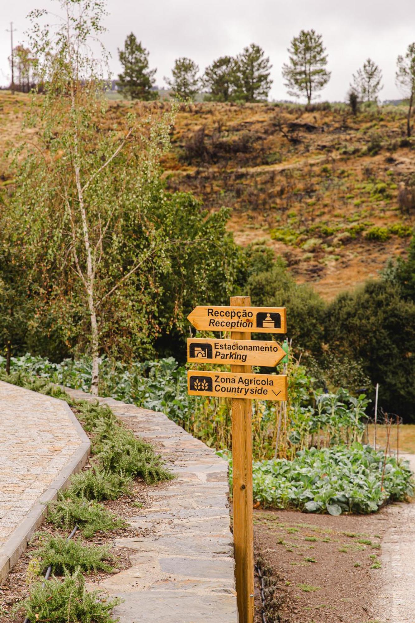 Apartamento Terrasense Mountain Charm Retreat & Farm Videmonte Exterior foto