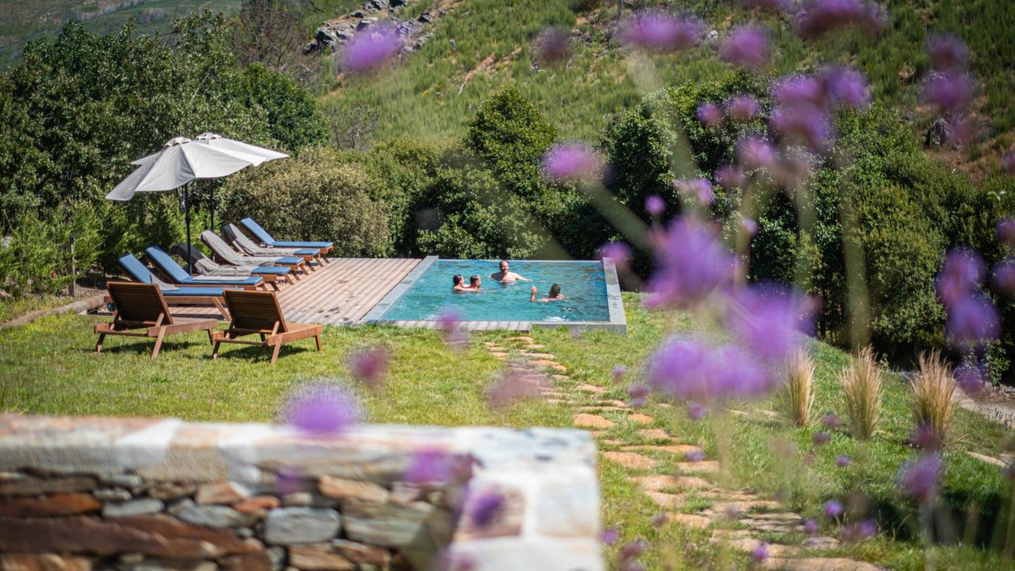 Apartamento Terrasense Mountain Charm Retreat & Farm Videmonte Exterior foto